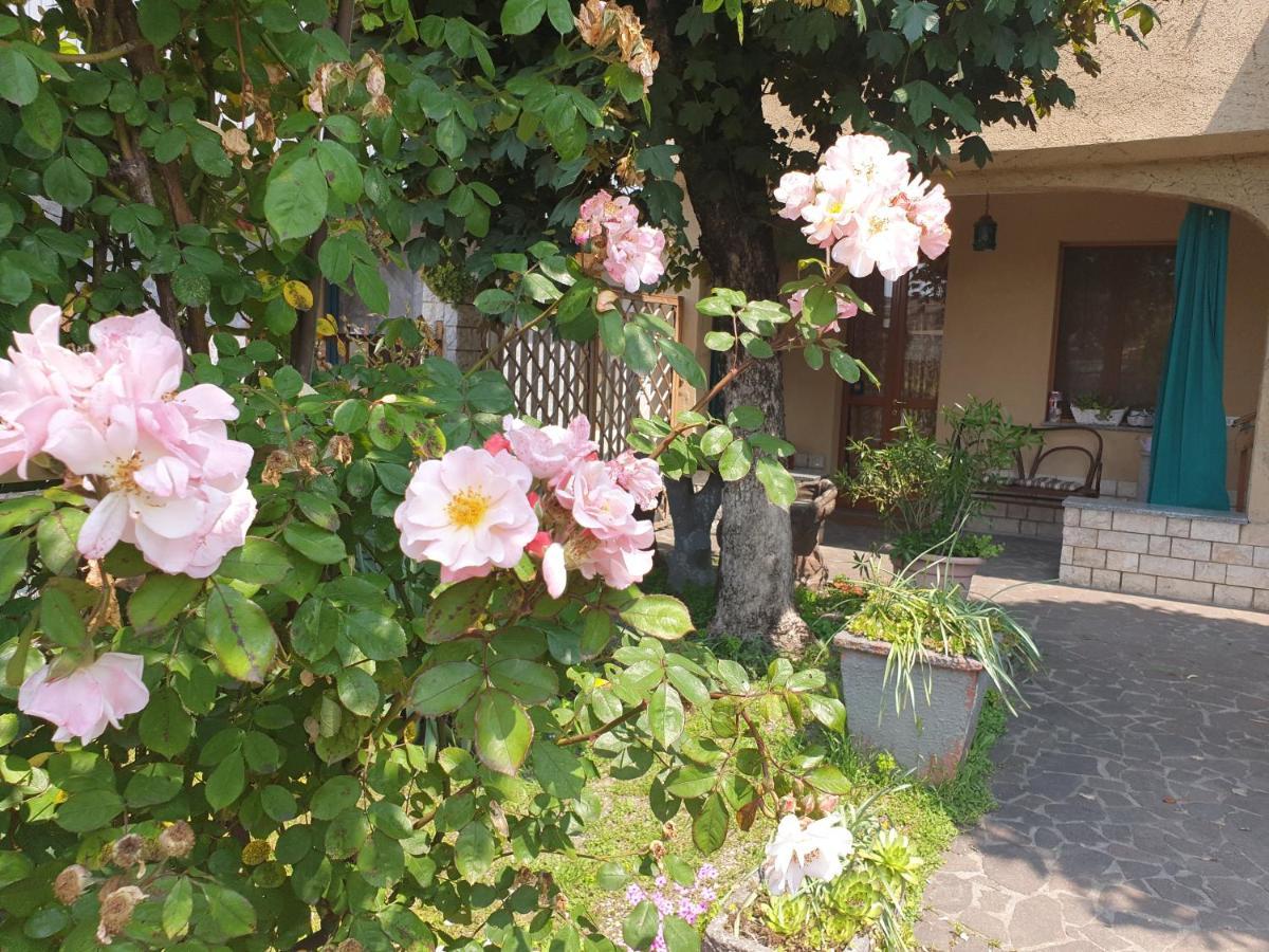 B&B Family Home Soresina Dış mekan fotoğraf